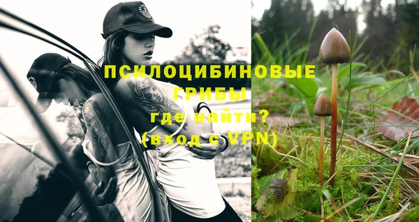 соль курить ск Магас