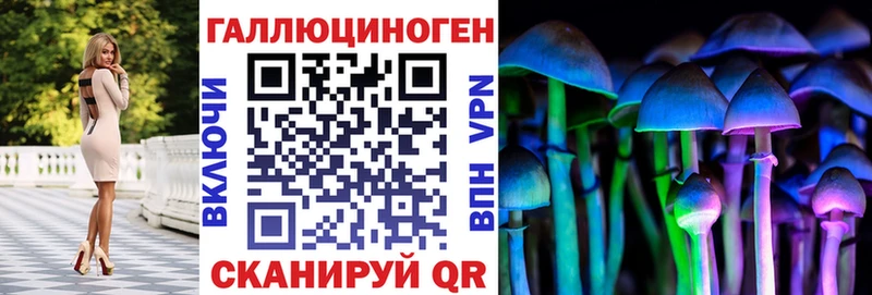 купить наркотик  Хабаровск  Псилоцибиновые грибы Cubensis 